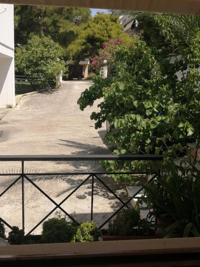 Sunny Garden Studio Atenas Exterior foto